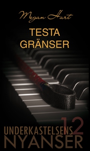 Testa gränser (e-bok) av Megan Hart