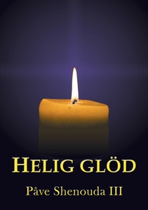 Helig glöd (e-bok) av Påve Shenouda III