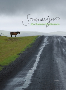 Sommarljus, och sen kommer natten (e-bok) av Jó