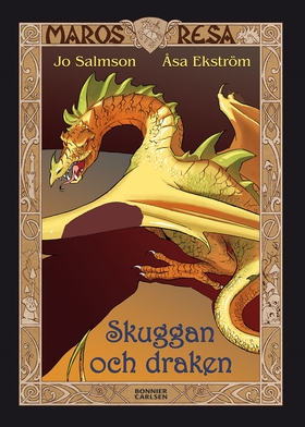 Skuggan och draken (e-bok) av Jo Salmson