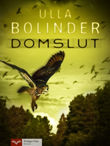 Domslut (e-bok) av Ulla Bolinder