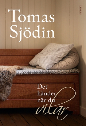 Det händer när du vilar (e-bok) av Tomas Sjödin