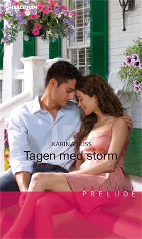 Tagen med storm (e-bok) av Karina Bliss