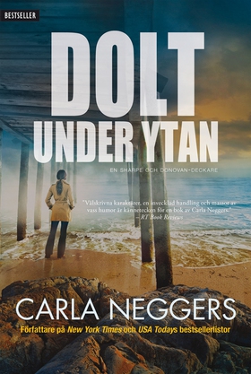 Dolt under ytan (e-bok) av Carla Neggers