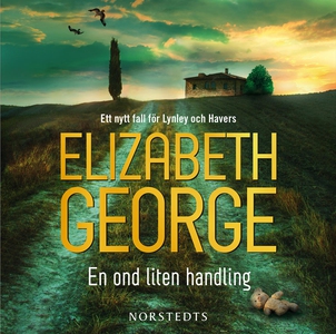En ond liten handling (ljudbok) av Elizabeth Ge