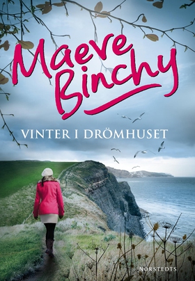 Vinter i drömhuset (e-bok) av Maeve Binchy