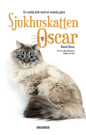 Sjukhuskatten Oscar : En vanlig katt med en ova