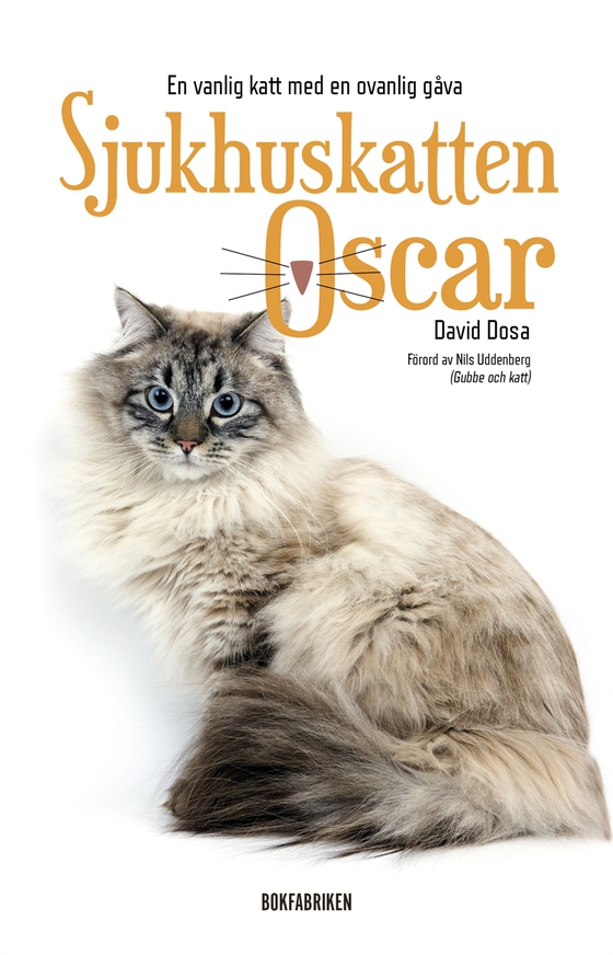 Sjukhuskatten Oscar : En vanlig katt med en ovanlig gåva