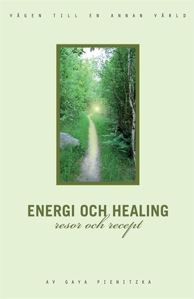 Energi och healing, resor och recept (e-bok) av