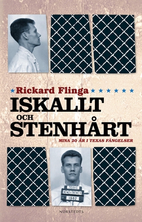 Iskallt och stenhårt (e-bok) av Rickard Flinga