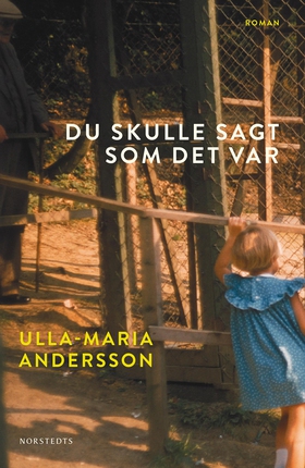 Du skulle sagt som det var (e-bok) av Ulla-Mari