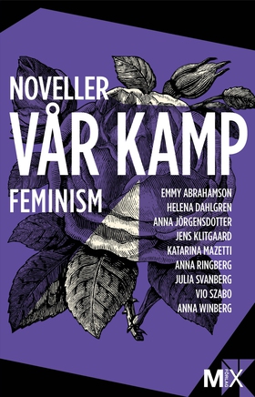 Vår kamp : feministiska noveller (e-bok) av Ann