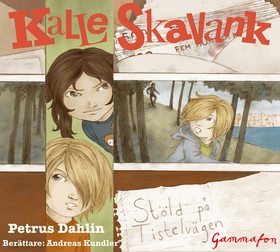 Stöld på Tistelvägen (ljudbok) av Petrus Dahlin