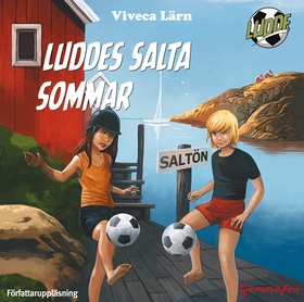 Luddes salta sommar (ljudbok) av Viveca Lärn