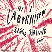 In i labyrinten