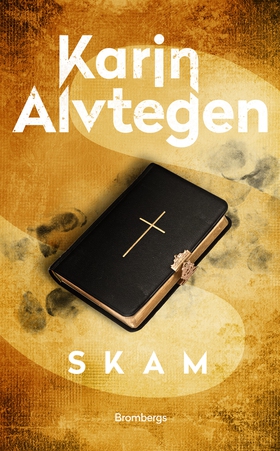 Skam (e-bok) av Karin Alvtegen