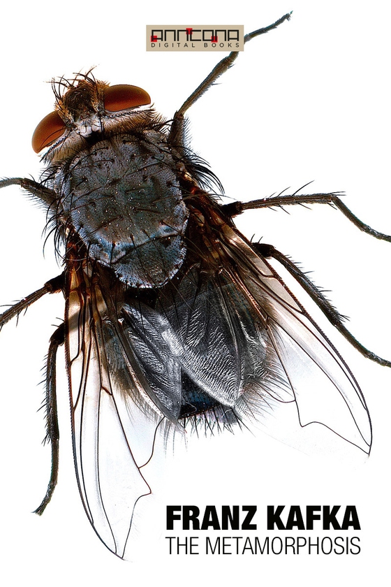The Metamorphosis