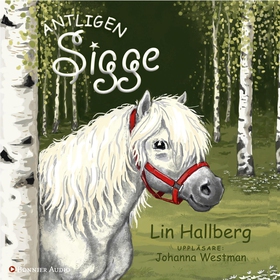 Äntligen Sigge (ljudbok) av Lin Hallberg