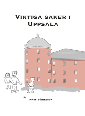 Viktiga saker i Uppsala (e-bok) av Mats Börjess