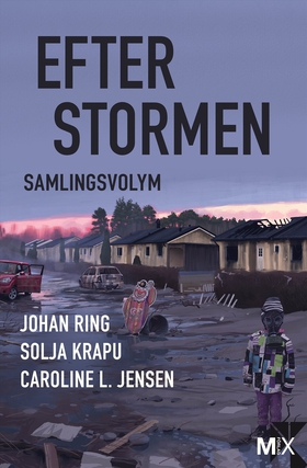 Efter stormen (e-bok) av Johan Ring, Solja Krap