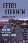 Efter stormen