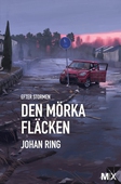 Efter stormen. Den mörka fläcken