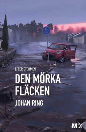 Efter stormen. Den mörka fläcken (e-bok) av Joh