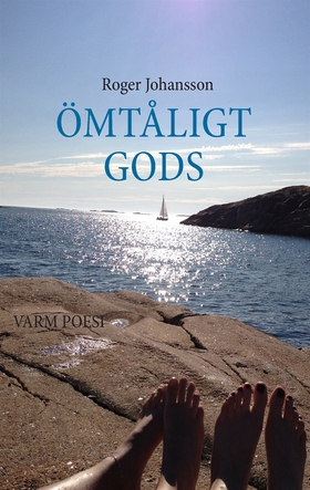 Ömtåligt gods (e-bok) av Roger Johansson