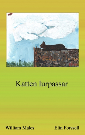 Katten lurpassar (e-bok) av William Males, Elin