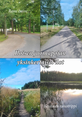 Iloisen juomapojan yksinkertaiset ilot (e-bok)