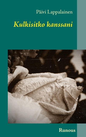 Kulkisitko kanssani (e-bok) av Päivi Lappalaine