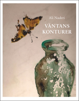Väntans konturer (e-bok) av Ali Naderi