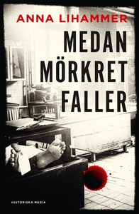 Medan mörkret faller (e-bok) av Anna Lihammer