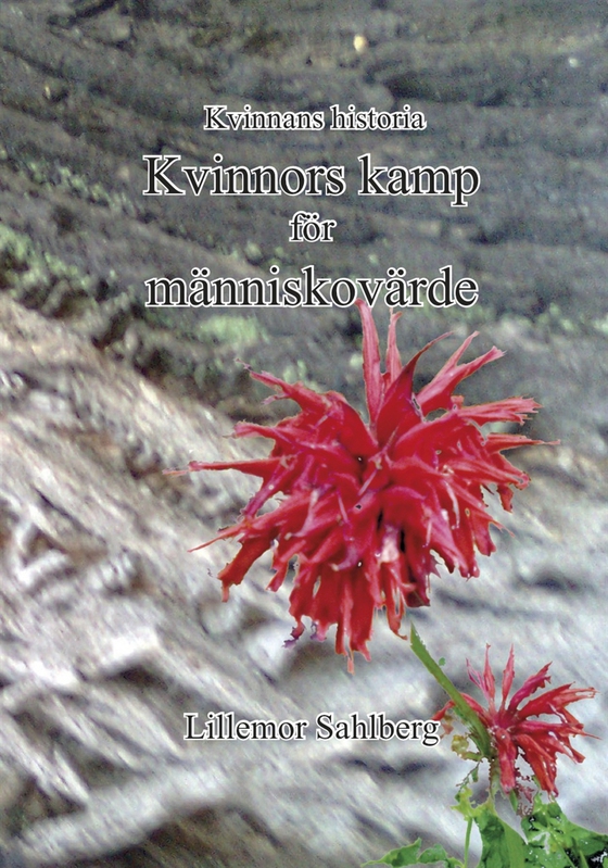 Kvinnors kamp för människovärde