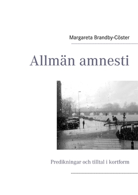 Allmän amnesti (e-bok) av Margareta Brandby-Cös