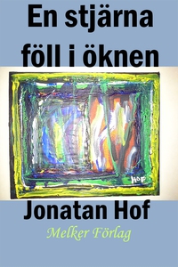 En stjärna föll i öknen (e-bok) av Tomas Petter