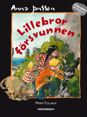 Lillebror försvunnen (e-bok) av Anna Jansson