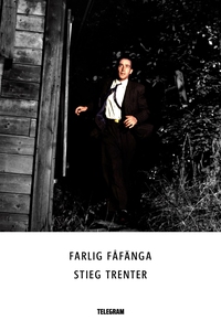 Farlig fåfänga (e-bok) av Stieg Trenter