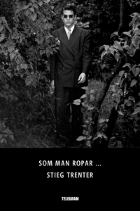 Som man ropar ... (e-bok) av Stieg Trenter