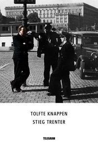 Tolfte knappen (e-bok) av Stieg Trenter