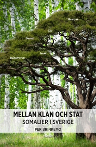 Mellan klan och stat : somalier i Sverige (e-bo