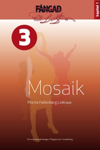 Mosaik (e-bok) av Marita Hallenberg Linkruus
