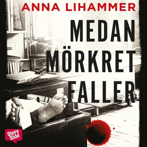 Medan mörkret faller (ljudbok) av Anna Lihammer