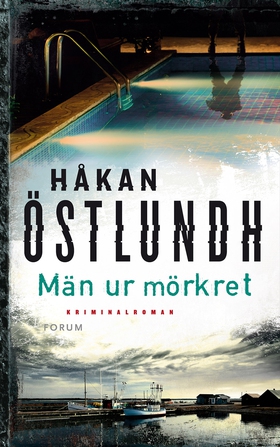Män ur mörkret (e-bok) av Håkan Östlundh