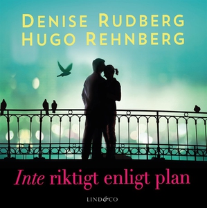 Inte riktigt enligt plan (ljudbok) av Denise Ru