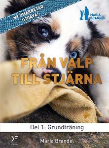 Från valp till stjärna del 1: Grundträning (e-b
