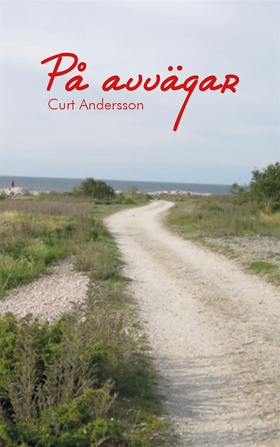 På avvägar (e-bok) av Curt Andersson