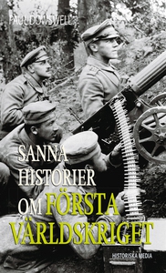 Sanna historier om första världskriget (e-bok)