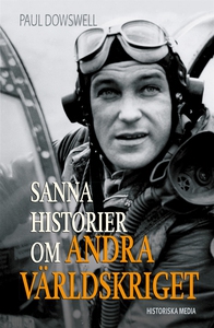 Sanna historier om andra världskriget (e-bok) a