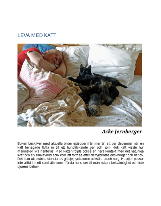 LEVA MED KATT